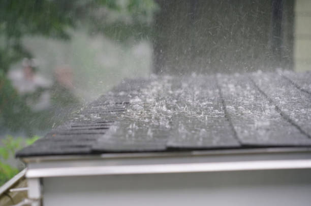 Best Emergency Roof Repair Services  in Newport, OH