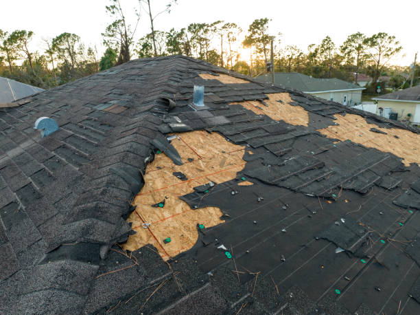 Best Hot Roofs  in Newport, OH
