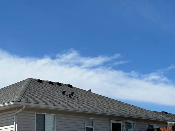 Best Roofing for New Construction  in Newport, OH