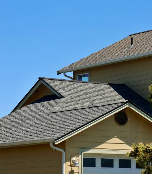 Best Gutter Installation and Repair  in Newport, OH